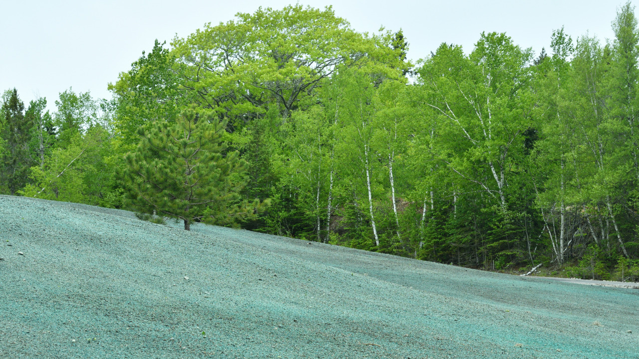 What are the Disadvantages of Hydroseeding