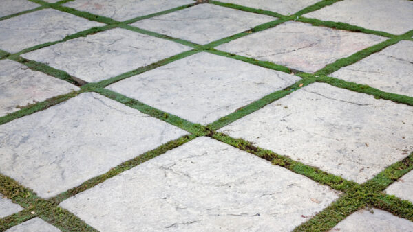 Concrete pavers