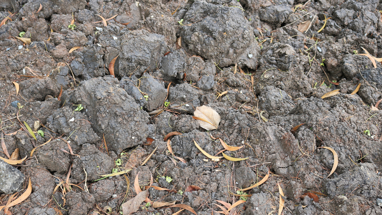 Presence of organic matter in soil