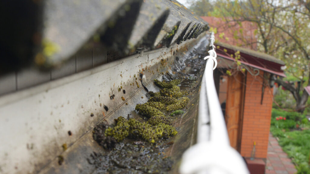 4 Tips for Gutter Cleaning 