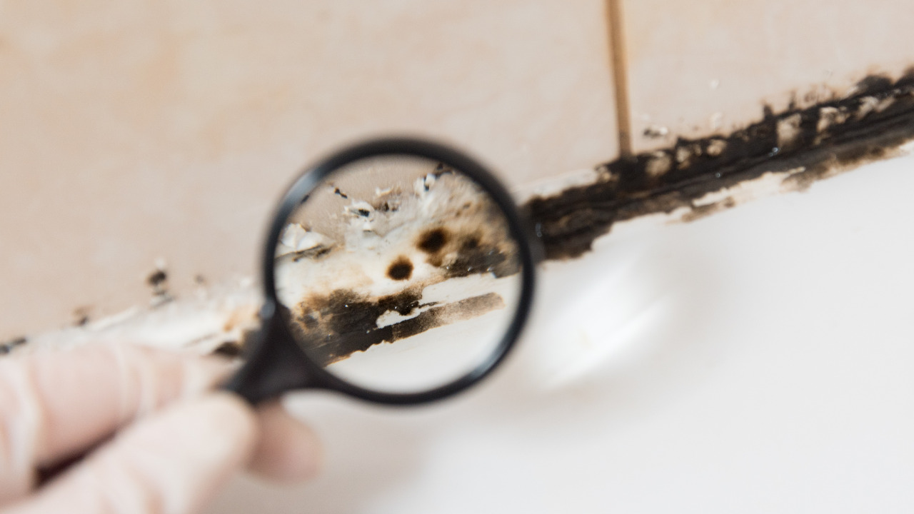 Bathroom Black Mold