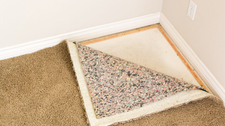 A Detailed Guide About Carpet Padding - Construction How