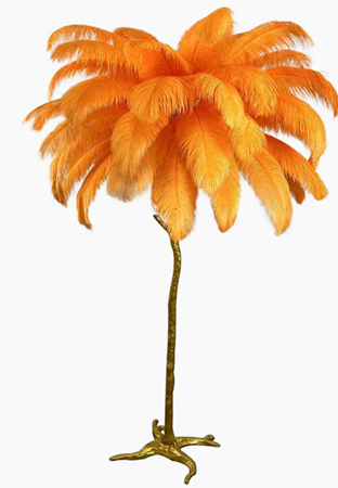 orange ostrich flower