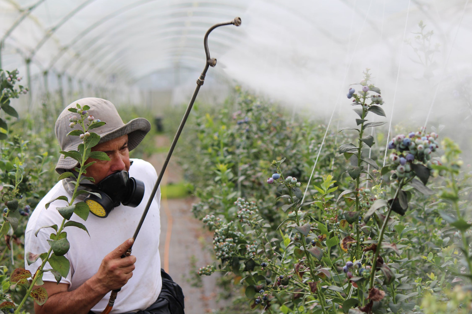 How to Build Pest-Proof Outdoor Structures